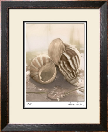 Seashore Achatina by Donna Geissler Pricing Limited Edition Print image