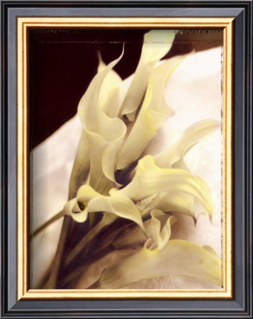 Calla Lilies Detail by Rosanne Olson Pricing Limited Edition Print image