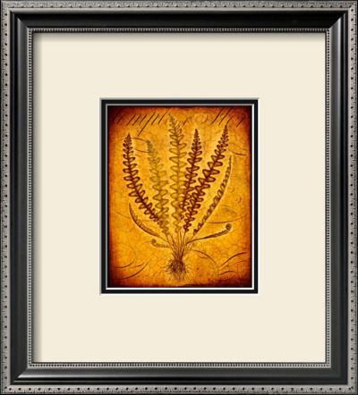 Fern Rhythms by Betsy Bauer Pricing Limited Edition Print image