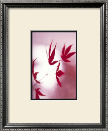 Arrangement Of The Leaves I by Gerd Weissing Pricing Limited Edition Print image