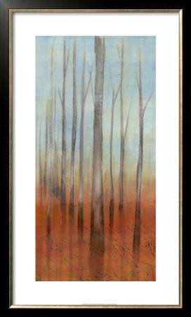 Birch Forest Ii by Jennifer Goldberger Pricing Limited Edition Print image