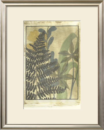 Woodland Fern Forest Ii by Jennifer Goldberger Pricing Limited Edition Print image