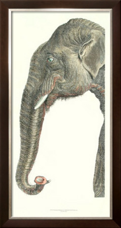 Elongated Elephant by Marechal Pricing Limited Edition Print image