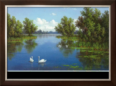 River With Swans I by Slava Pricing Limited Edition Print image