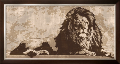Lion by Andrew Cooper Pricing Limited Edition Print image