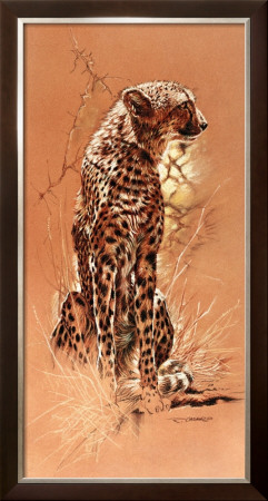 Cheetah by Renato Casaro Pricing Limited Edition Print image