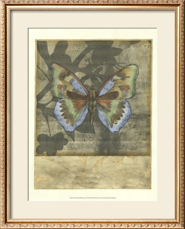 Butterfly Blossoms Iv by Jennifer Goldberger Pricing Limited Edition Print image