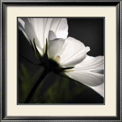 Seeking The Light by Elin Hedstrom Pricing Limited Edition Print image