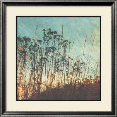 Wild Grass I by Amy Melious Pricing Limited Edition Print image