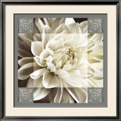 Dahlia Icon Ii by Christine Elizabeth Pricing Limited Edition Print image