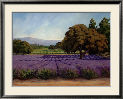 Lavender Fields by Susan Hoehn Pricing Limited Edition Print image