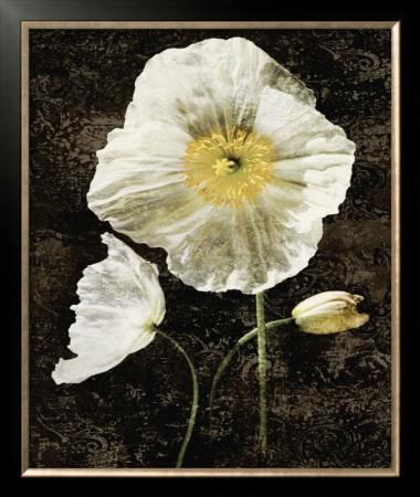 Poppies Ii by John Seba Pricing Limited Edition Print image