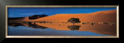 Namib Desert by Philippe Bourseiller Pricing Limited Edition Print image