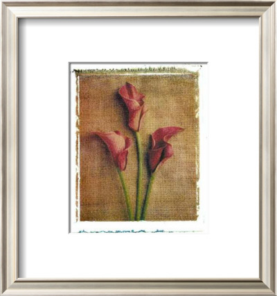 Callas by Vincenzo Ferrato Pricing Limited Edition Print image