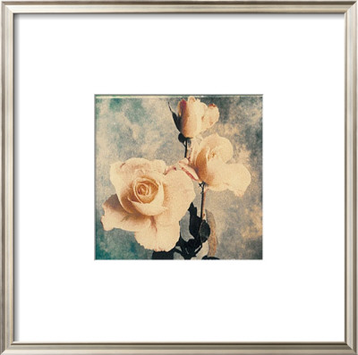 Rose by John Faulkner Pricing Limited Edition Print image
