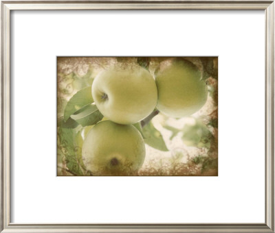 Vintage Apples Ii by Jason Johnson Pricing Limited Edition Print image