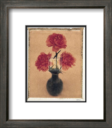 Carnations by Scott Morrish Pricing Limited Edition Print image