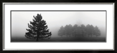 Misty Pines by Erin Clark Pricing Limited Edition Print image