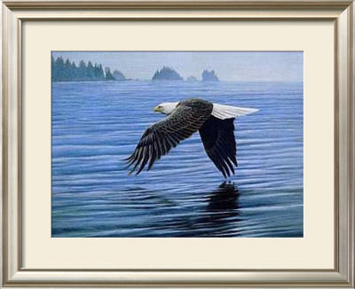 Low Flight Eagle by Jeremy Paul Pricing Limited Edition Print image