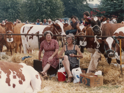 Two Ladies Picnic At An Agricultural Show by Shirley Baker Pricing Limited Edition Print image