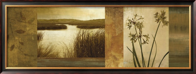 Laguna I by John Seba Pricing Limited Edition Print image