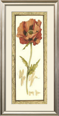 Poppy Study Ii by Jennifer Goldberger Pricing Limited Edition Print image