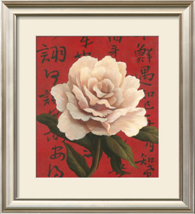White Chinese Rose by T. C. Chiu Pricing Limited Edition Print image