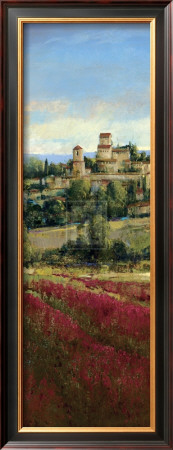 Tuscan Harvest I by P. Patrick Pricing Limited Edition Print image