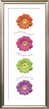 Gerbera Daisies by Anthony Matos Pricing Limited Edition Print image