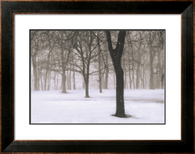 Snow On The Common, Vermont by Christine Triebert Pricing Limited Edition Print image