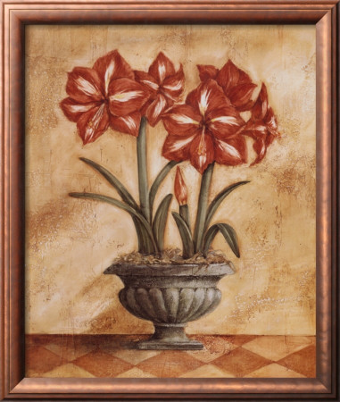 Red And White Amaryllis by Tina Chaden Pricing Limited Edition Print image