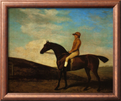 Rosaletta by George Stubbs Pricing Limited Edition Print image