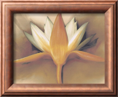 Orange Lotus by Betsy Cameron Pricing Limited Edition Print image