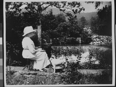 Mrs. Fsb Painting A Small Watercolor Of The Waterfall At Daniels Pond, Her Pet Dog By Her Side by Wallace G. Levison Pricing Limited Edition Print image