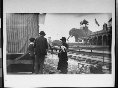 Youngsters Visiting With A Man And His Performing Parrots And Cockatoos Outdoors At Coney Island by Wallace G. Levison Pricing Limited Edition Print image