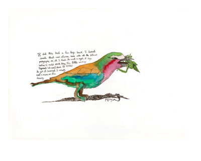 Lilac Breasted Roller by John Woolley Pricing Limited Edition Print image
