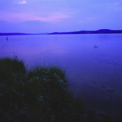 Landscape In Violet Tones by Bengt-Goran Carlsson Pricing Limited Edition Print image