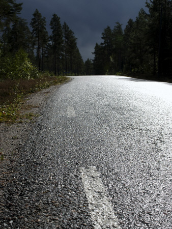 Blacktop Road Lined With Trees by Christian Lagerek Pricing Limited Edition Print image