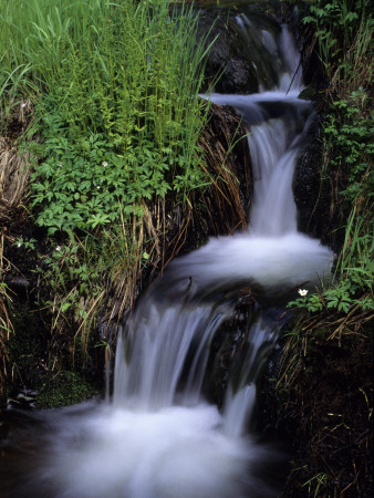 Waterfall In A Forest by Bard Loken Pricing Limited Edition Print image