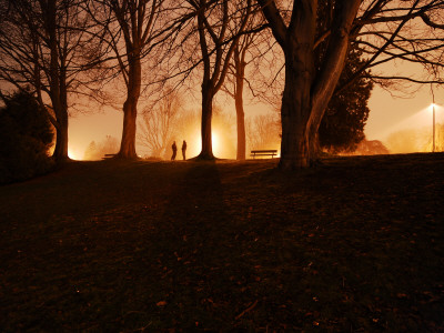Conversation At Night Two People Between The Trees by David Elton Pricing Limited Edition Print image