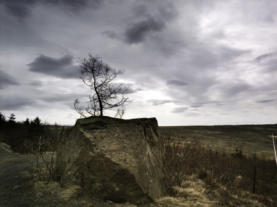 Scant Vegetation, South Iceland by Atli Mar Hafsteinsson Pricing Limited Edition Print image