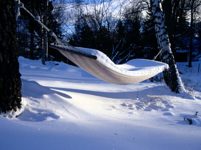A Hammock Covered In Snow, Sweden by Christer Lundin Pricing Limited Edition Print image