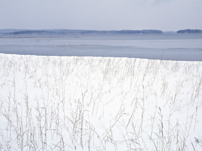 Reeds On A Snow Covered Lakeside, Finland by Kalervo Ojutkangas Pricing Limited Edition Print image