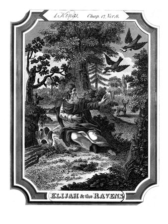 Elijah Is Fed By Ravens At A Brook (Cerith) Near Jordan, Kings 1, Chap Xvii, Verse 6 by Gustave Dore Pricing Limited Edition Print image