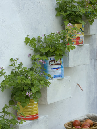 Chelsea Flower Show 2006: Lebanese Courtyard Garden By Nada Habet: Planted With Pelargoniums by Clive Nichols Pricing Limited Edition Print image