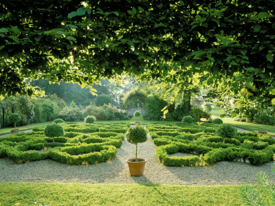 View From Knot Garden To The Rose Walk In The Early Morning Sunshine, Nyewood House, West Sussex by Clive Nichols Pricing Limited Edition Print image