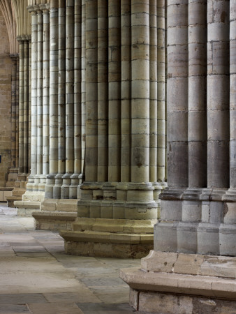 Exeter Cathedral, Devon, Interior View Showing 14Th Century Columns In The Nave Of The Cathedral by David Clapp Pricing Limited Edition Print image