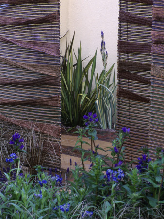 Copper And Willow Panels - Screens, (Chelsea 2004), Designer: Hannah Genders by Clive Nichols Pricing Limited Edition Print image