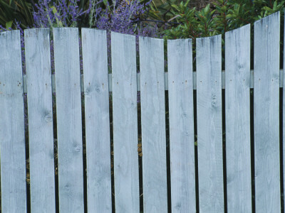 Seaside Garden - Blue Wooden Wave Shaped Fence, , Designer: Mark Laurence by Clive Nichols Pricing Limited Edition Print image