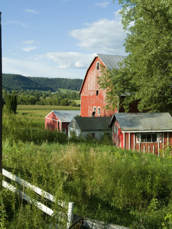 Farm, Coon Valley, Wisconsin by Natalie Tepper Pricing Limited Edition Print image